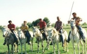 Die weißen Camargue-Pferde, wendig und trittsicher. (Foto: Sudy)