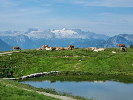 Augstsee im Steirischen Salzkammergut. © Reinhard A. Sudy