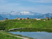 Augstsee im Steirischen Salzkammergut. © Reinhard A. Sudy