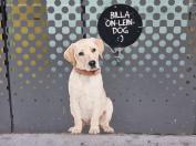 Annenstraße, Graz. © Reinhard A. Sudy